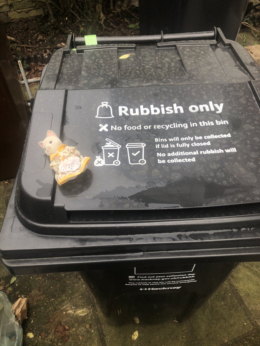 dollyteaches's tweet photo. Sylvie just popped outside to do some #newwavefieldwork , but look what she found on the floor outside! Someone has been littering. What is the problem with littering? Where should rubbish go instead of the floor? Sylvia has the right idea! https://t.co/YpzLJvbtsj