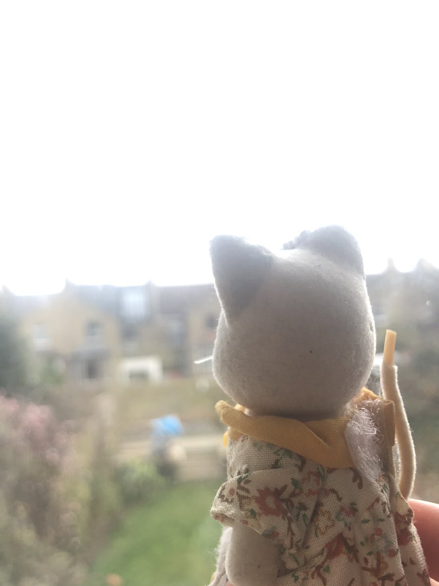 dollyteaches's tweet photo. Like the rest of us, Sylvie is staying inside a lot, but she can do her #newwavefieldwork through the window! What can you see in her garden? Can you tell what time of day it is? Do you think it’s hot or cold? Now look out of your window. What is similar or different to Sylvie’s? https://t.co/XerZuDq26z