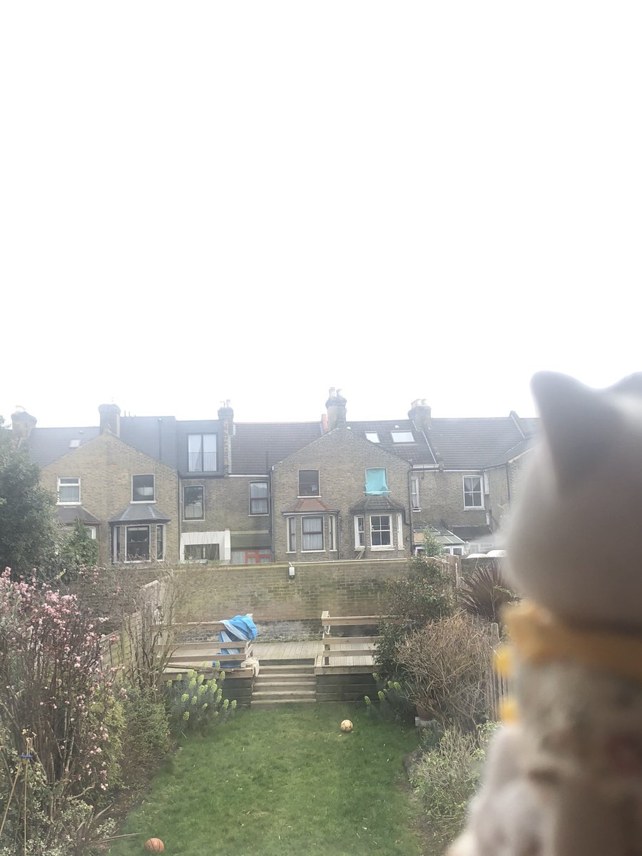 dollyteaches's tweet photo. Like the rest of us, Sylvie is staying inside a lot, but she can do her #newwavefieldwork through the window! What can you see in her garden? Can you tell what time of day it is? Do you think it’s hot or cold? Now look out of your window. What is similar or different to Sylvie’s? https://t.co/XerZuDq26z