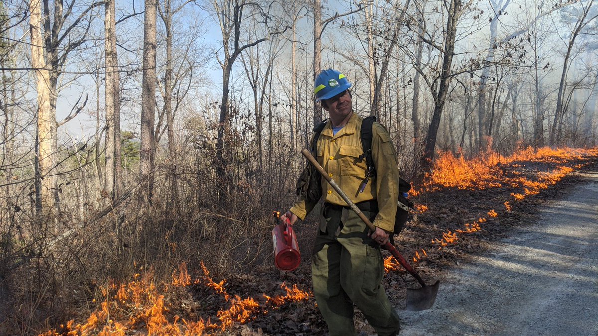 adam_warwick's tweet photo. Great burn conditions yesterday in the #SouthernAppalachians. #shortleaf Oak woodland Rifle Range Rx on Sumter National Forest. @APfirescience @NC_TNC @Nature_Fire @nature_sc @SLPInitiative https://t.co/2A7HdlBakX