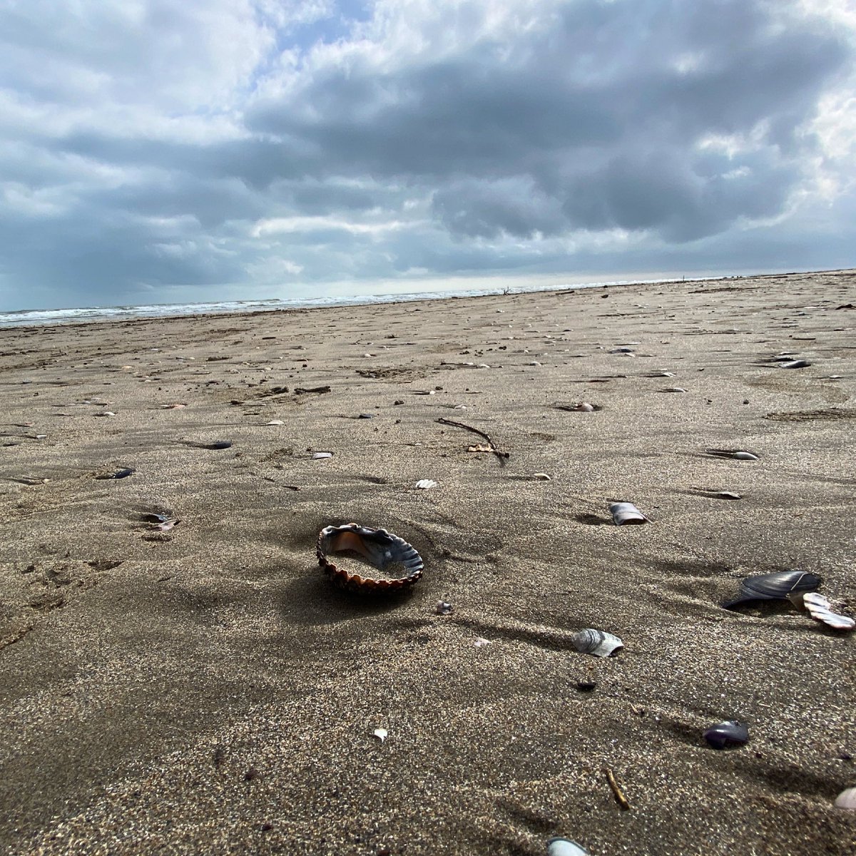 bruno31290's tweet photo. #gruissan #plagedeschalets balade hivernale en bord de #mer. #aude https://t.co/KOoBCax8dT