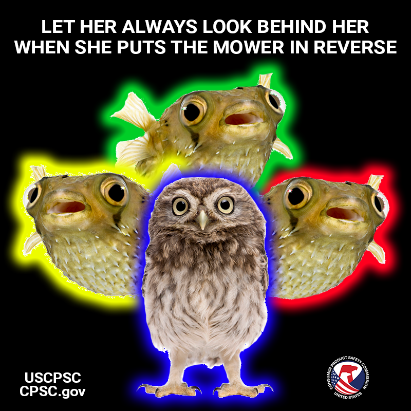 Four fish and an owl looking at you. The text reads: Let her always look behind her when she puts the mower in reverse.