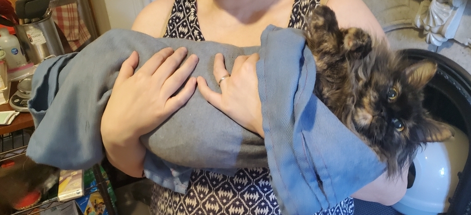 I feel much better and have repaid her by turning her into a purrito.