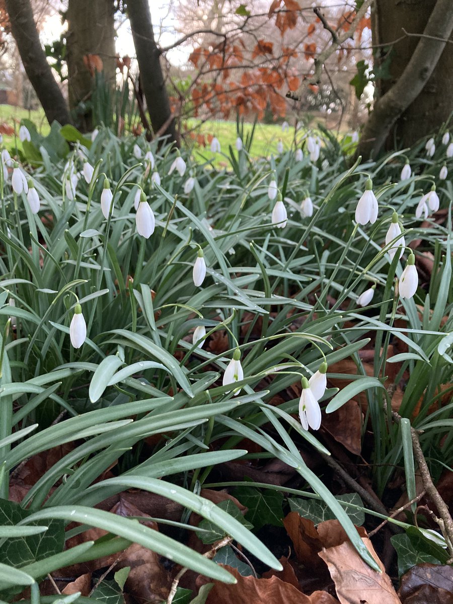 Fiona Blakemore tweet media