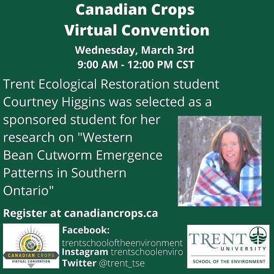 Canadian Crops Virtual Convention, Wed Mar 3, 9-12 CST. Trent Ecological Restoration student Courtney Higgins was selected as a sponsored student for her research on "Western Bean Cutworm Emergence Patterns in Southern Ontario." Register at canadiancrops.ca