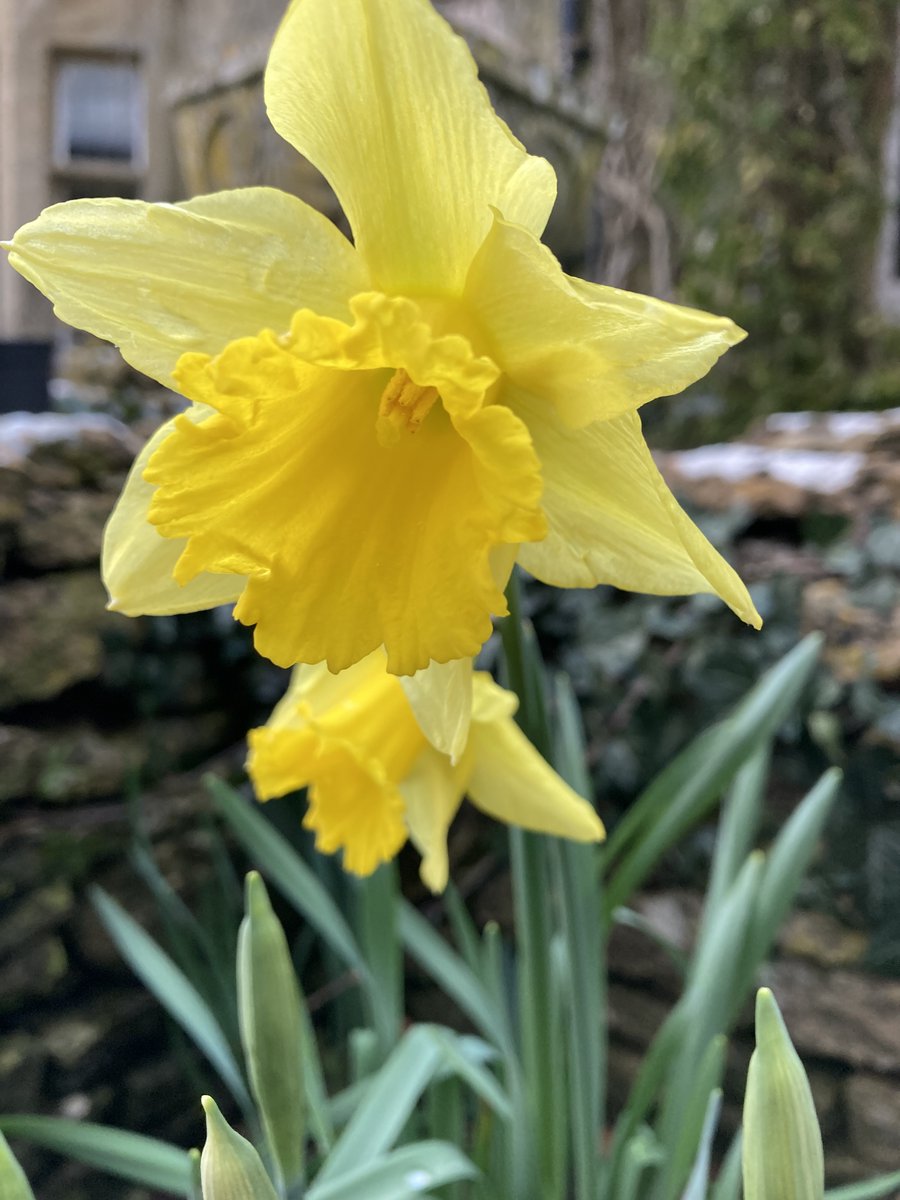 Fiona Blakemore tweet media