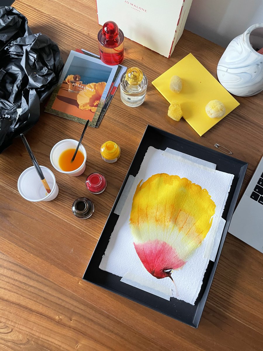 zoelondondj's tweet photo. I did a ink painting zoom call lesson with Jo Malone earlier and the artist version next to mine looks like what you ordered vs what came from Wish https://t.co/Zi4WwgyUpo