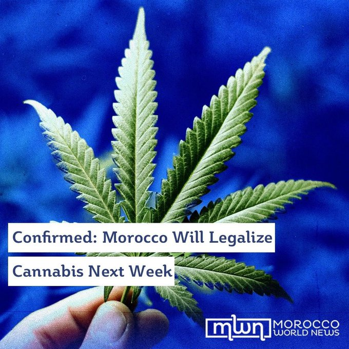 MoroccoWNews's tweet photo. https://t.co/9iXQtYwKrB  Confirmed: Morocco Will Legalize Cannabis Next Week https://t.co/6kVsfJv7dy