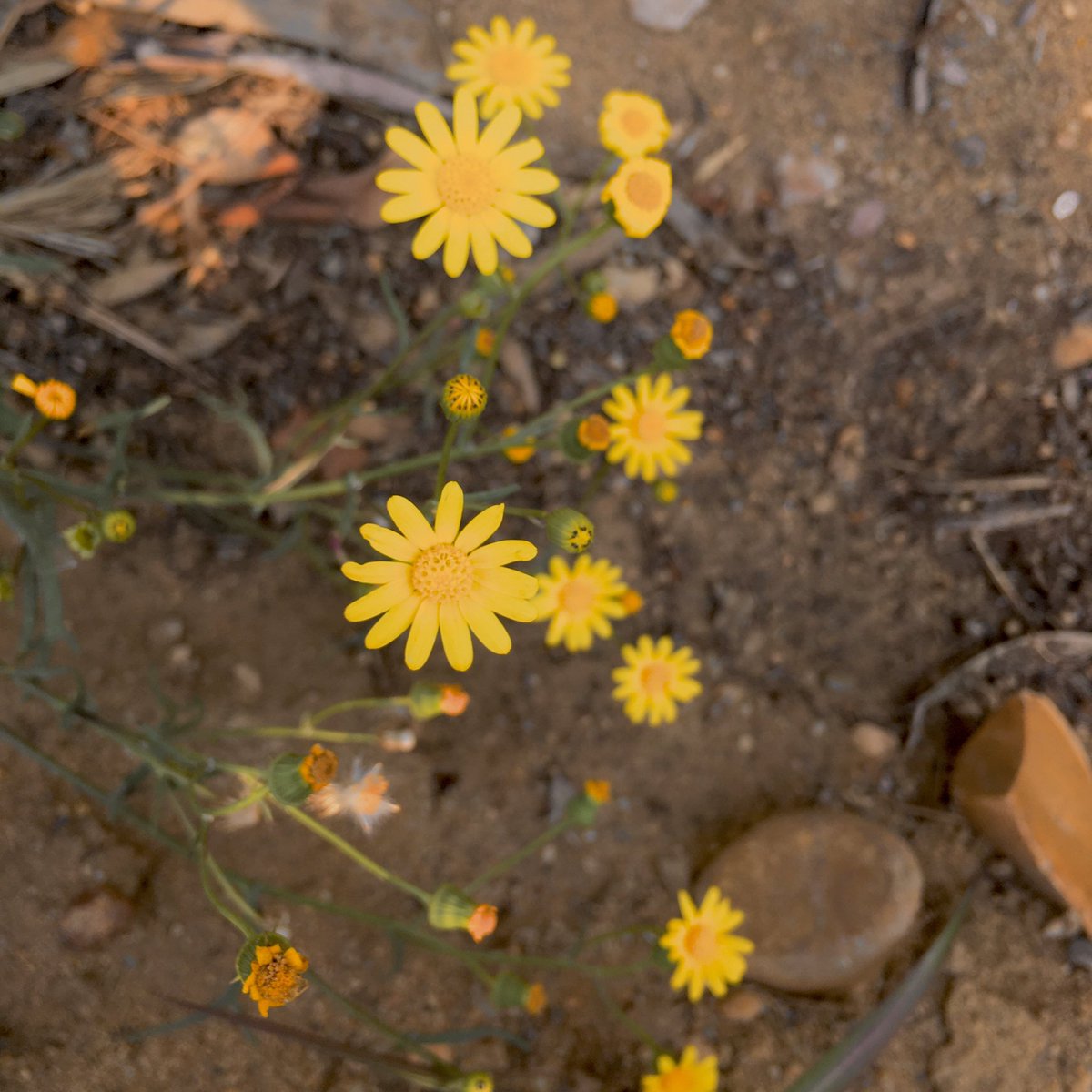 ‏‎﮼مصطفي📮 ّ tweet media