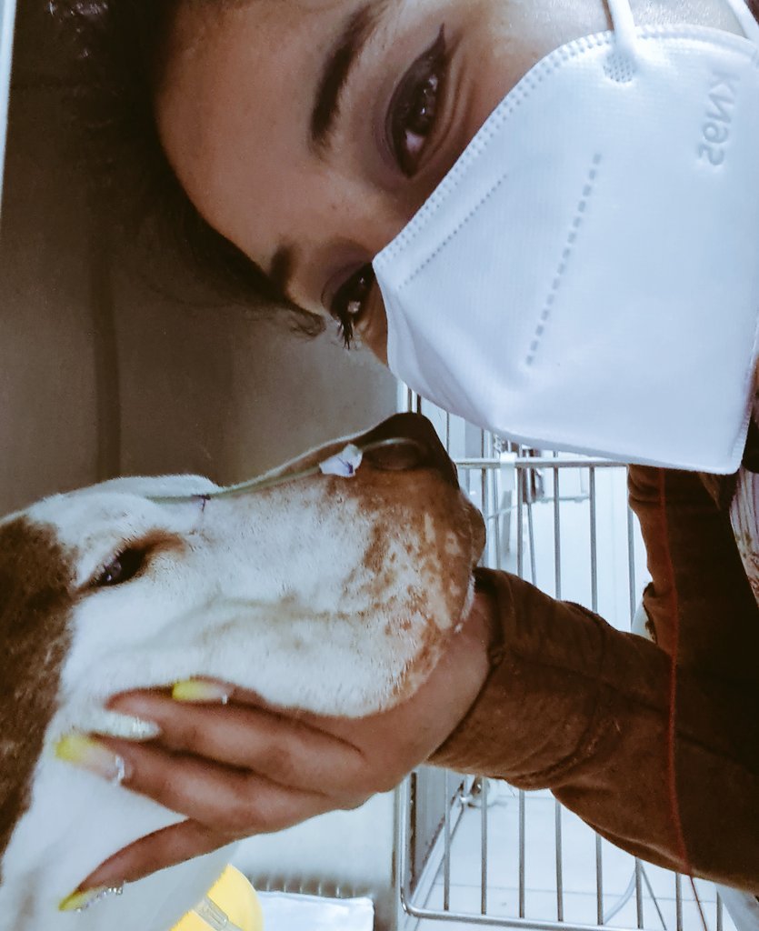 Giomira15's tweet photo. Hola Fer... solo quería que sepas que siempre estas presente en mi corazón 🥺

Un beso a la eternidad mi bebé ❣😪 https://t.co/eAE158as8e