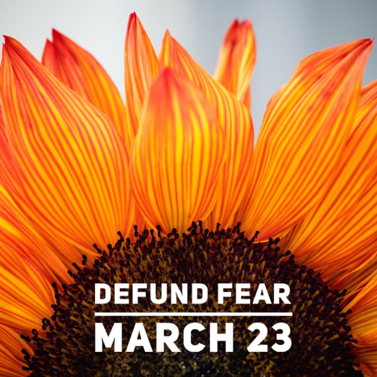 ciispubprograms's tweet photo. Just Added! Join @ZachWNorris in a conversation on how we all can shift our mindset & embrace a new vision for public safety that overturns more than 200 years of fear-based discrimination, othering, & punishment. Register for this free event, https://t.co/awq1SjwfkN #defundfear https://t.co/V3imwZHhIQ