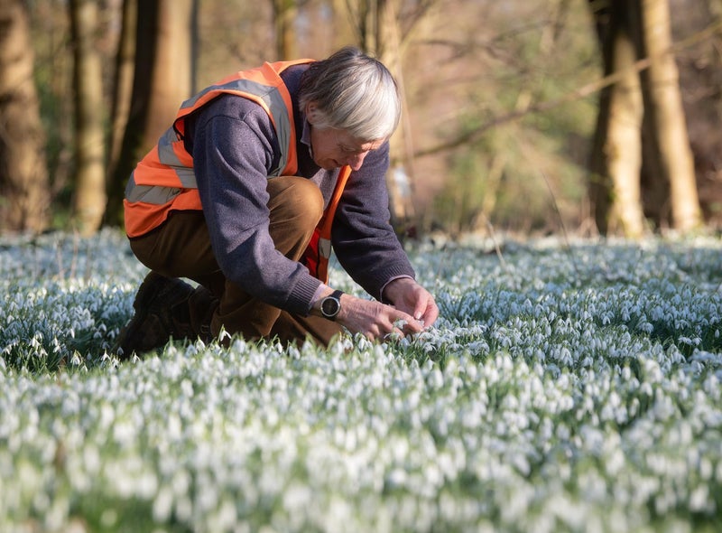 lythamhall's tweet photo. Seeing as you can't visit the snowdrops this year at Lytham Hall the wonderful Phil Downie has made a virtual tour for you. You can watch it on our facebook page here - https://t.co/jCMekmkhIM
Click the donate button to help our Rescue animals and the Friends of the Hall. Thanks https://t.co/9sMvvJdUD3