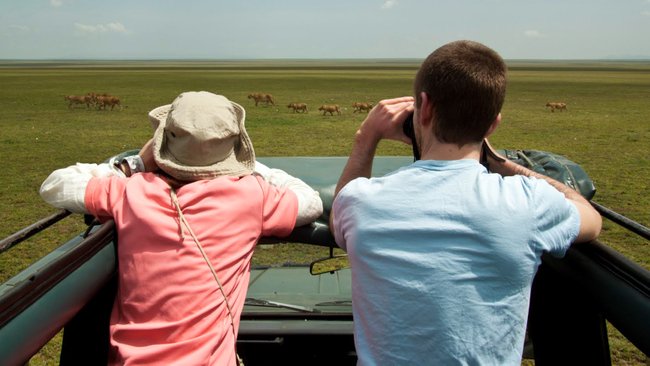 ADS_Safaris's tweet photo. SAFARI VEHICLES | All our vehicles have a canvas top, which can be rolled back completely so that you may game view standing from any of the seats. 

LEARN MORE ☞: https://t.co/BYiSQBRJH4 https://t.co/e3q6kS20n9