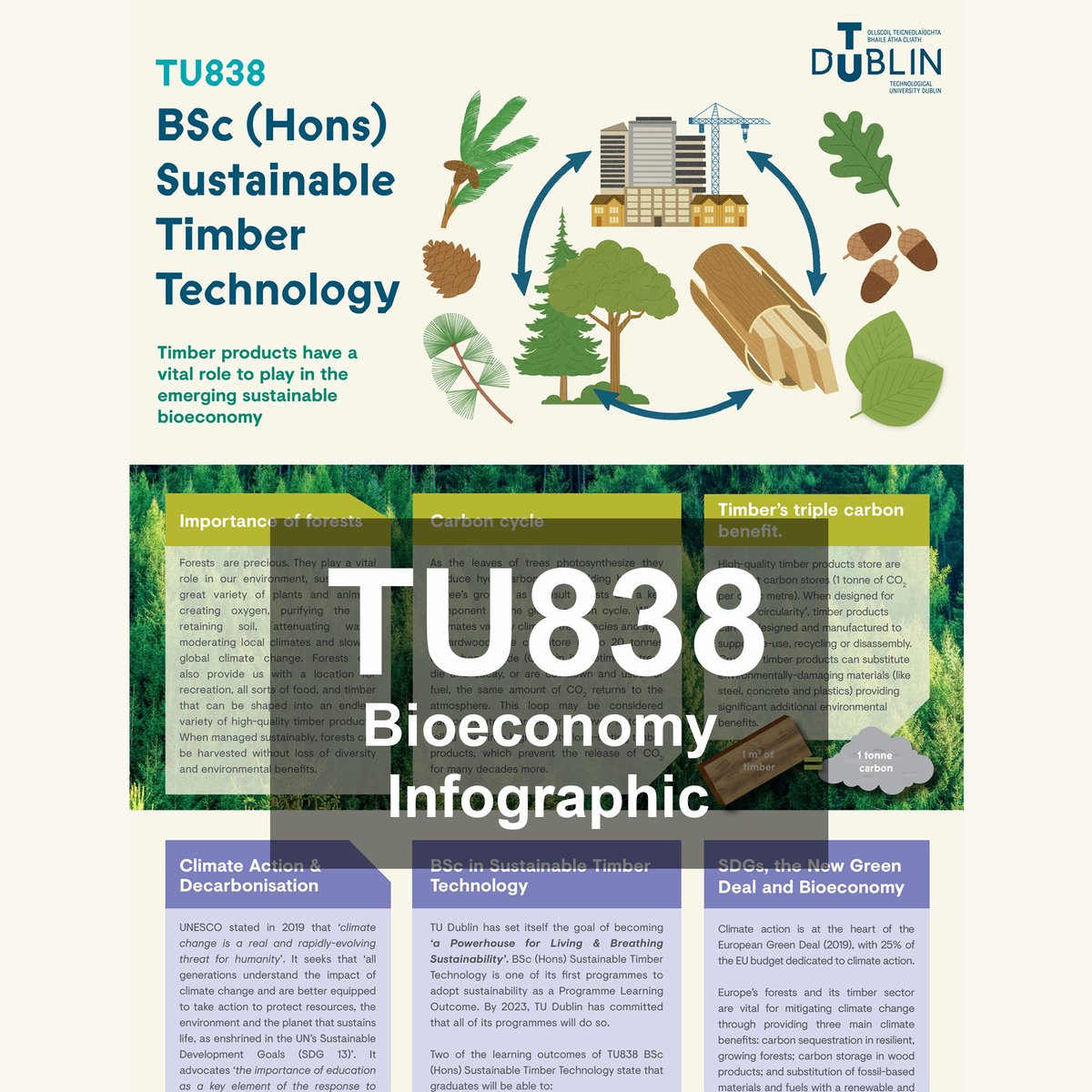 Archi_TUDublin's tweet photo. Check out latest #infographic from #TU838 BSc in #Sustainable #TimberTechnology. It describes importance of #timber &amp; #forests in growing #Bioeconomy of #Ireland:  https://t.co/Qu1sx25sn5
@Instgc @Jenny4711byrne @WeAreTUDublin @technoteachers @ETBIreland @ibec_irl @coilltenews https://t.co/nDNefAE2a3