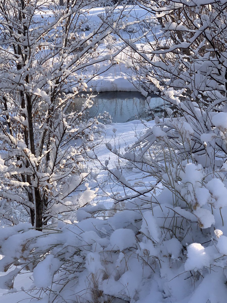 rmnft's tweet photo. Snowy walk along the Cherry Creek trail!
.
#natureinthecity #snowday #naturetherapy #cherrycreektrail #colorado #beautiful #certifiedforesttherapyguide https://t.co/lfdXHtZsYB