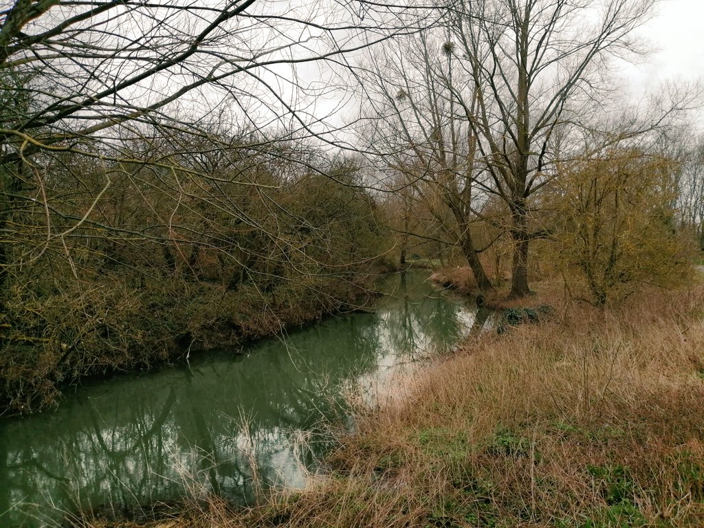 Nick Alston CBE DL tweet media