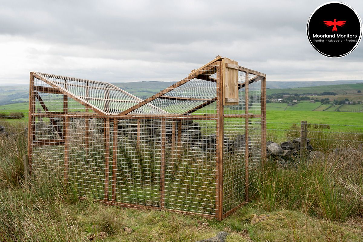 CalderdaleM's tweet photo. As we move into corvid trapping season, we will be sharing locations to raise awareness of the ladder traps we have mapped out in the #Calderdale area. Please RT to help us put an end to this cruel practice! 🌍OS: SD9813 730031 / DD: 53.76662, -2.02974 All trails number: 47 https://t.co/5lj28FtXZk