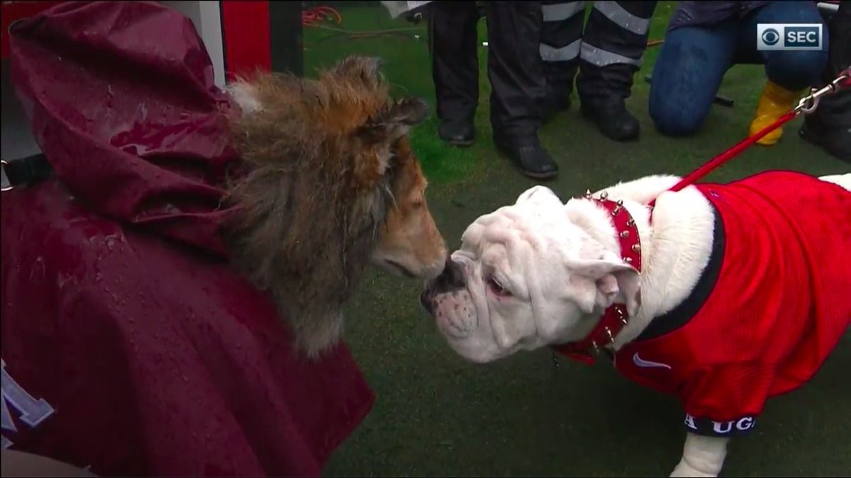 no context college football (@nocontextcfb) on Twitter photo 