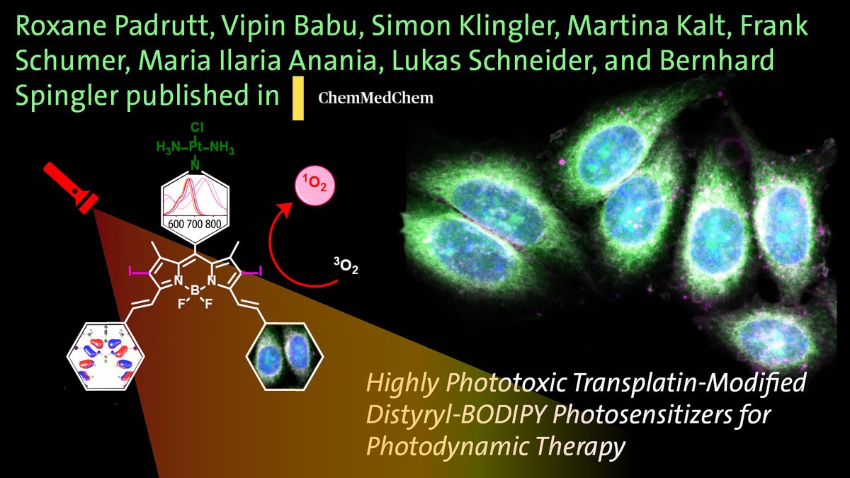 UZH_Chemistry's tweet photo. New paper published by the Spingler group @UZH_Chemistry in ChemMedChem:  https://t.co/NTlk3gweEj https://t.co/O05m5R5IJW