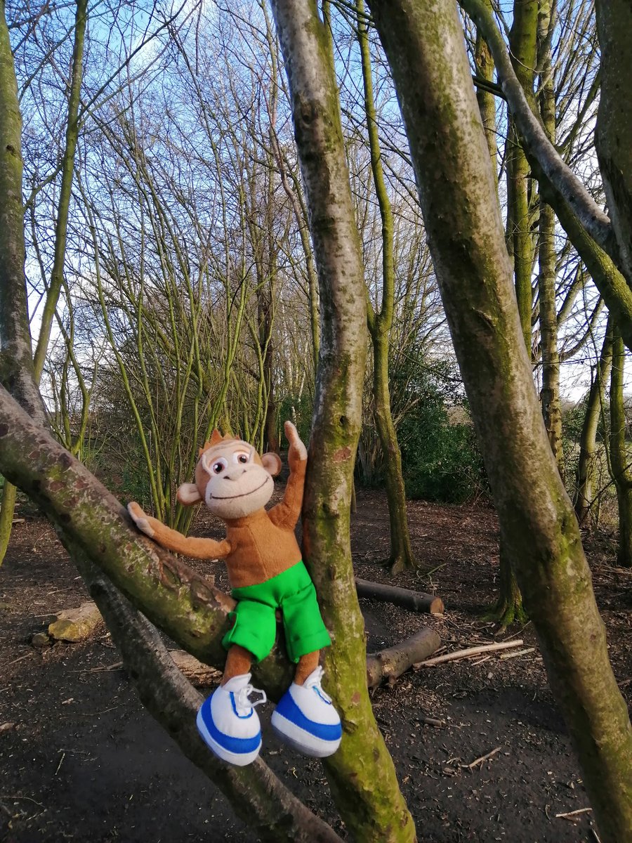 Mona and Mr Woodward had fun filming tomorrow's circuits in the forest, don't forget to check it out on showbie!