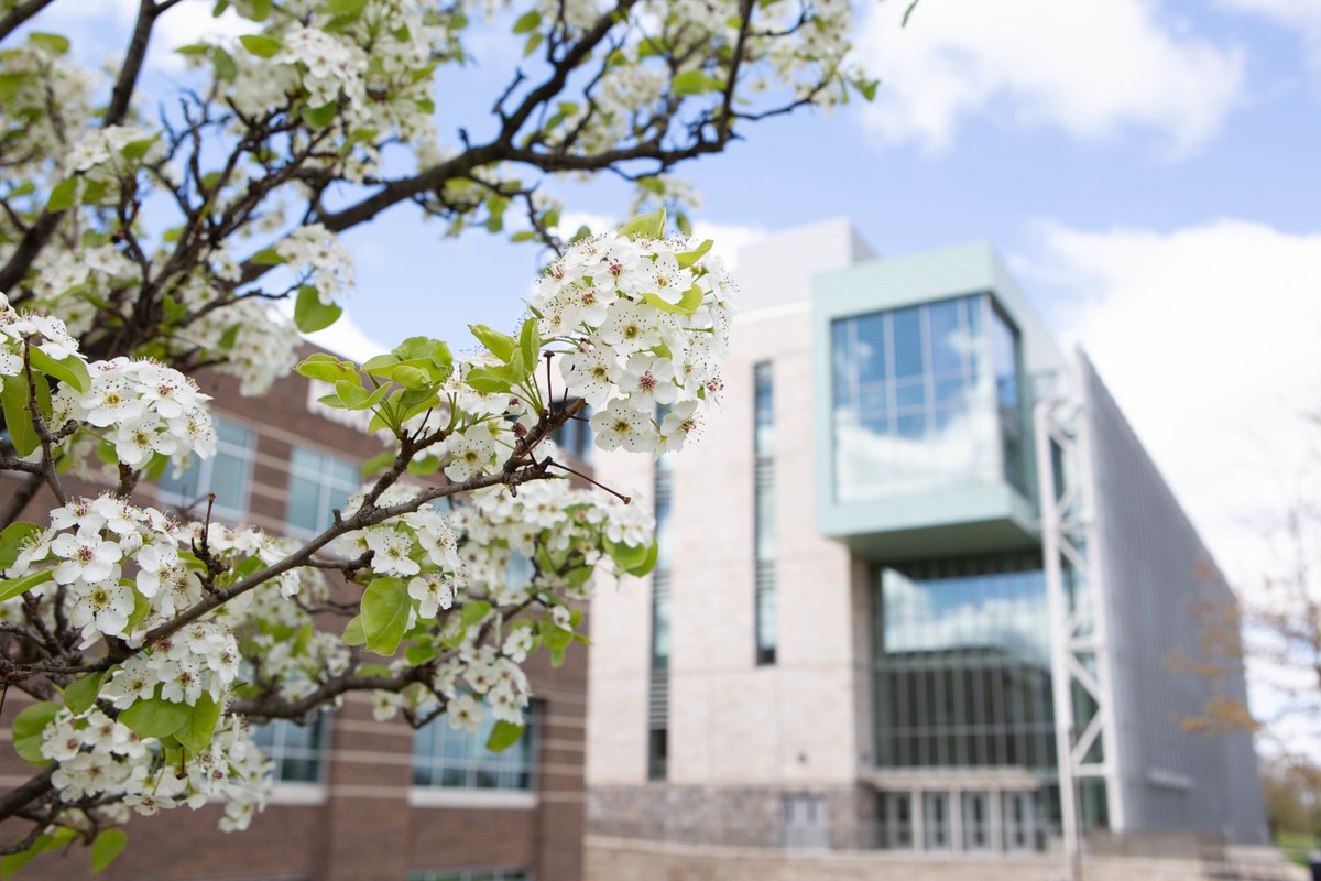 GVSU's tweet photo. Happy Laker Pride Day! Want a chance at winning a #GVSU sweatshirt from @GVSU_LakerStore?

Reply to this Tweet with your favorite season on campus. You must be following us and have DMs open. Three winners will be announced tomorrow (February 26). Good luck! ☀️🌸🍂❄️ https://t.co/Imx23WpaYL
