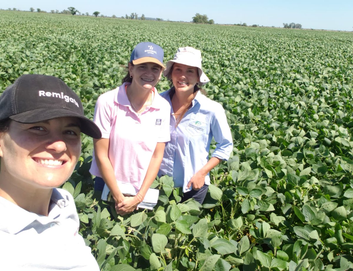 AgroProdas's tweet photo. Recorrida ensayo:
#Sausor en cultivo de soja.
👉Junto @cooperativa_de_videla
@yaraargentina
📍La Pelada, Santa Fe.
#Soja #Rendimiento
#Fertilizante #Arrancador
#Sausor
🌱🌱🌱🌱🌱🌱🌱🌱 https://t.co/uzZBk7UYLk