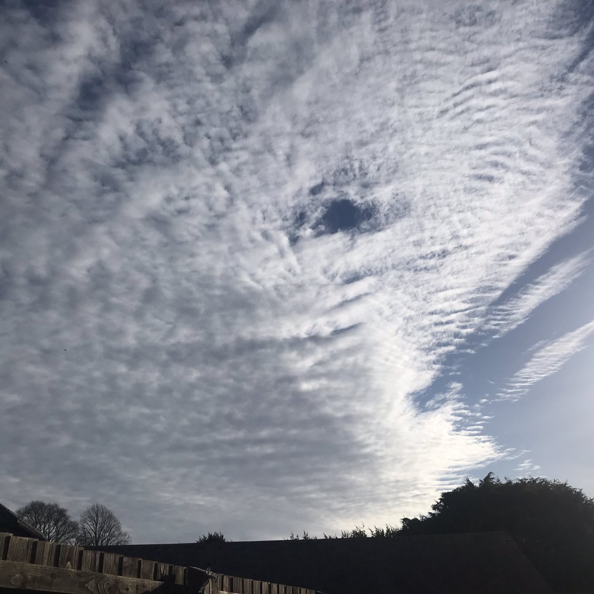 ourvintageview's tweet photo. Tea in the garden. Sun on my face, bees buzzing, birds singing, husband drilling..
#happy #myhappyplace #sunonmyface #cloudscape #mygarden #myafternoon #skyscape #beesbuzzing #birdsong #springtime #itsthelittlethings https://t.co/Mfr2OZa950