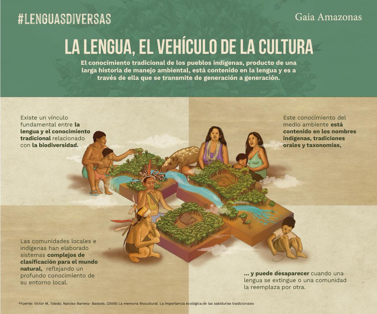 #DíadelaLenguaMaterna #DíadelaLenguaNativa 🗣️El conocimiento tradicional de los pueblos indígenas, producto de una larga historia de manejo ambiental, está contenido en la lengua y es a través de ella que se transmite de generación a generación.