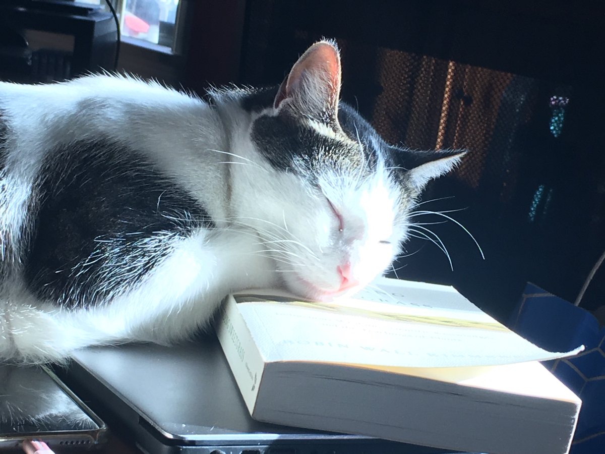 Major Bren Derlin tweet media