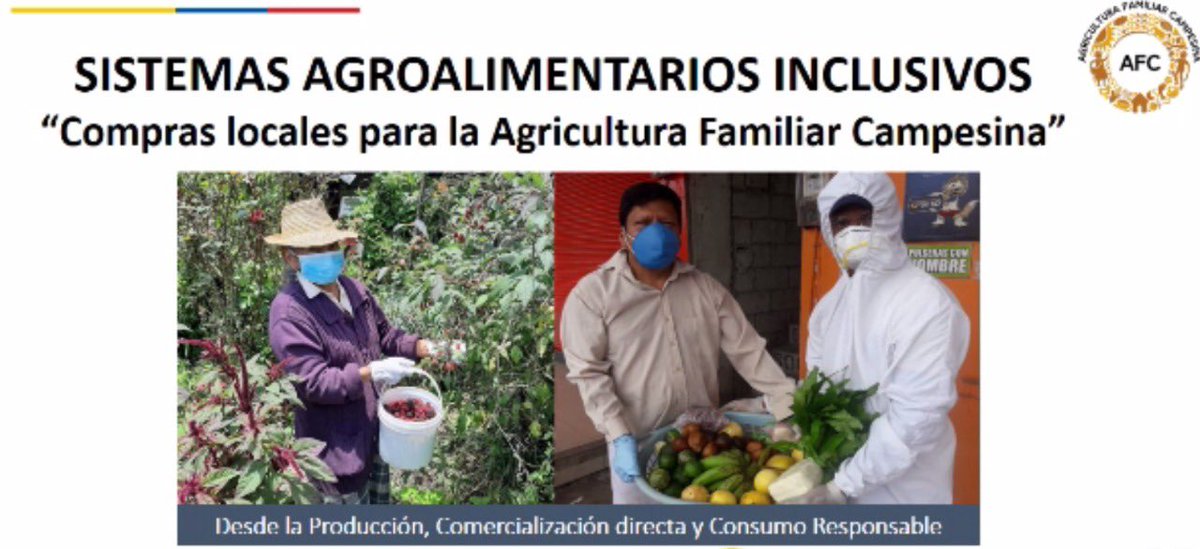 Más de  100 técnicos de los GADs de la Frontera Norte del Ecuador participaron en el taller Sistemas agroalimentarios inclusivos: “compras locales para la Agricultura Familiar Campesina” en el marco del Proyecto Sello de la AFC. <a href="/IICAnoticias/">IICA</a> <a href="/AgriculturaEc/">Agricultura, Ganadería y Pesca Ecuador 🇪🇨</a> <a href="/IICAEcuador/">IICA Ecuador</a> <a href="/mne2019/">Mancomunidad del Norte del Ecuador</a>