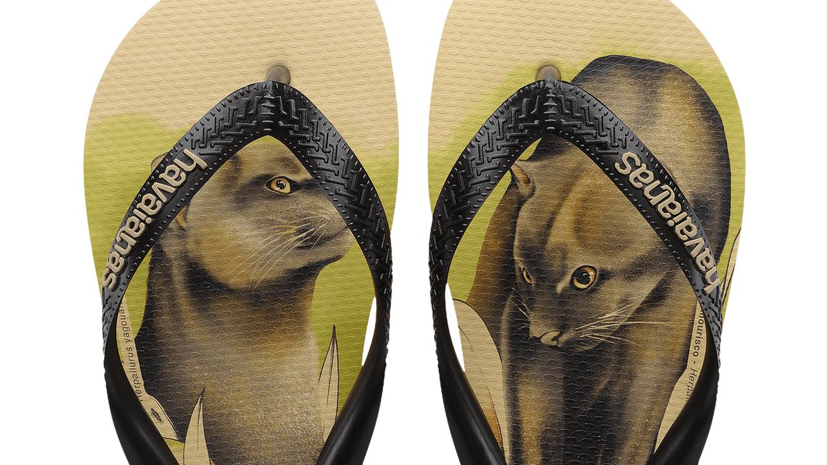 havaianasBR's tweet photo. Ok, estou vendo muita gente falando sobre minhas linhas com @InstitutoIPE e @CIBrasil
(muito amor envolvido 🥰)

Conta pra mim: qual é a sua favorita? https://t.co/O9bCVy2QcQ