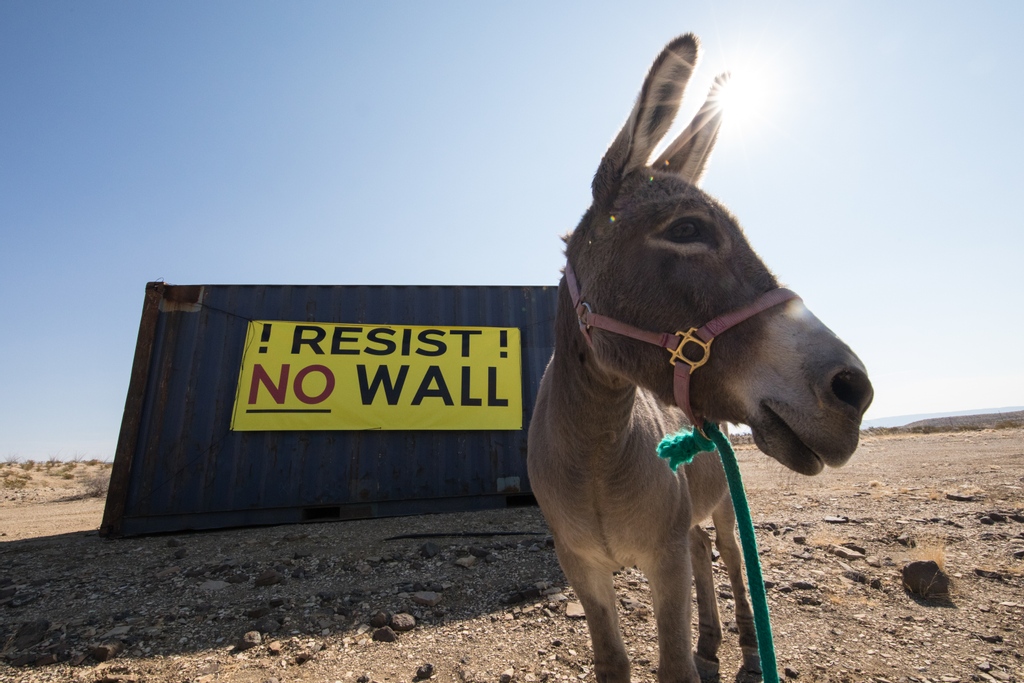 Donquita, leader of the resistance since 2017.
#theriverandthewall