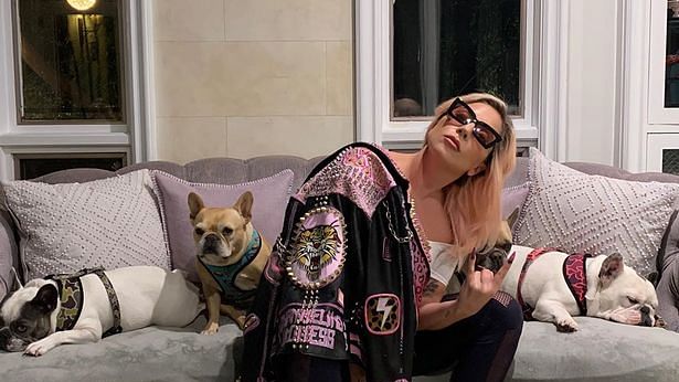 World Music Awards tweet media