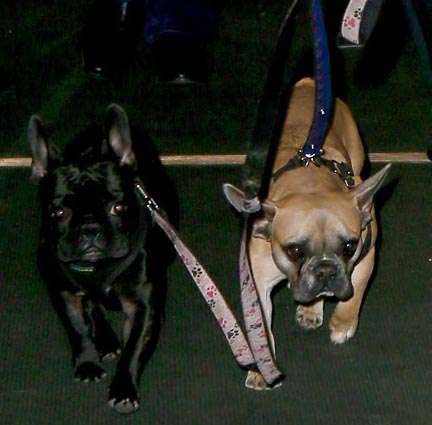 World Music Awards tweet media