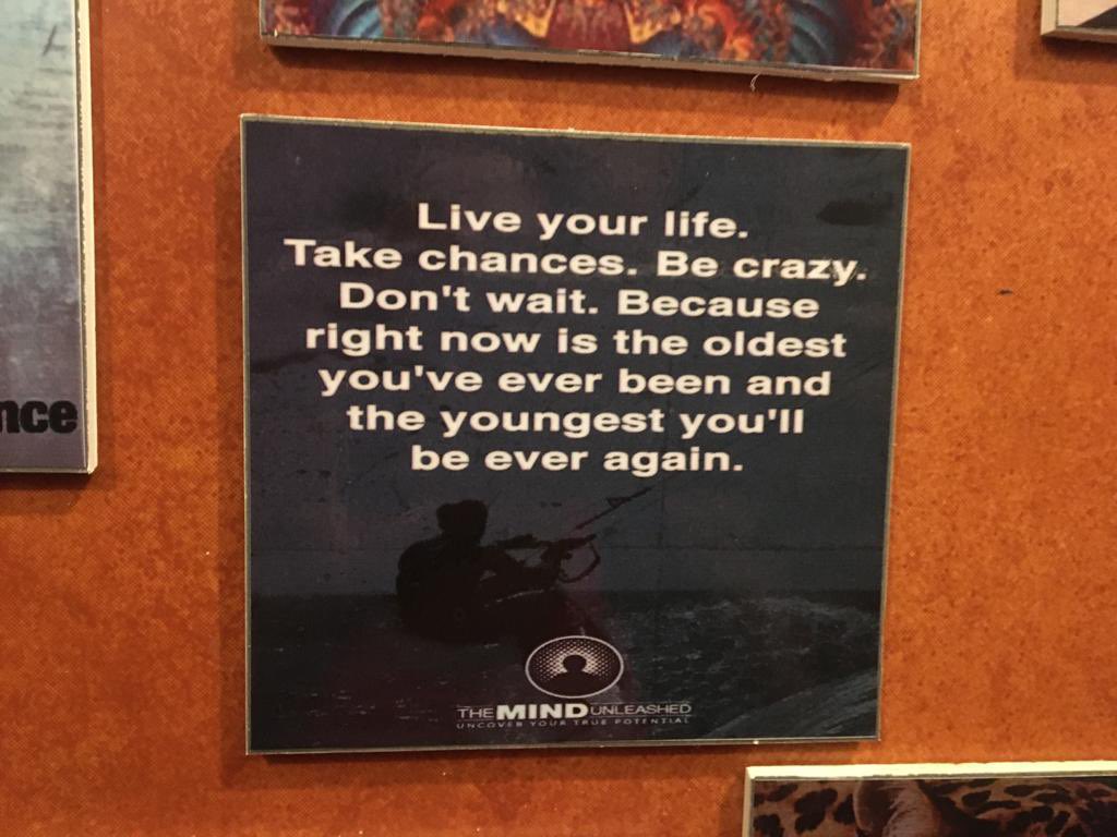 This!

And, rescue animals!!!

#animalrescue #rescueanimals #liveyourbestlife #seekadventure #daretodream #liveyourlife #takechances #becrazy #dontwait #thursdaymotivation #lifequote