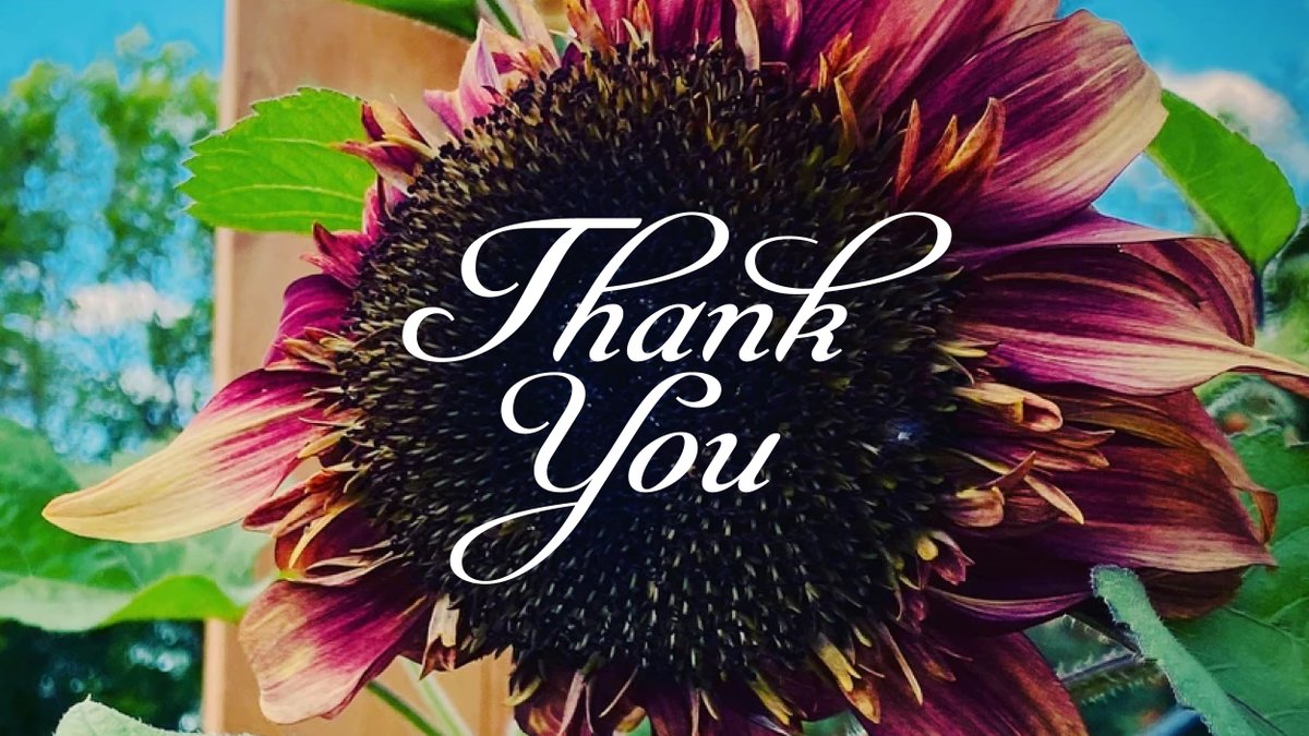 Amelia Earhart said, “a single act of #kindness throws out roots in all directions, and the roots spring up and make new trees.” In this case, it’s sunflowers 🌻 Thank you to <a href="/WildRosePerfum1/">WildRose Perfumery</a> for spreading the love and donating the proceeds from your seeds to #JessiesHouse 🌱