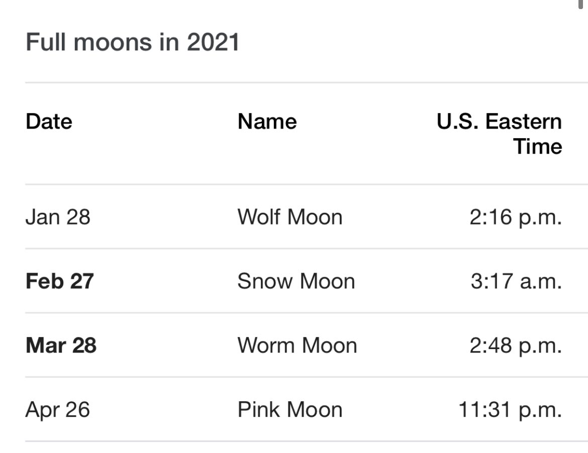 lauren ✩ ☾ tweet media