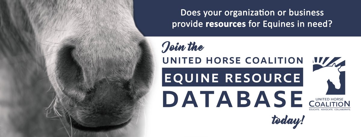 horse_coalition's tweet photo. Does your organization or business provide any type of resources or safety net programs that have the potential to help at-risk horses or those in transition?

For more information, click here:  https://t.co/a5tP2ebHBu

Help spread the word by sharing! https://t.co/Ud4uraWnWZ