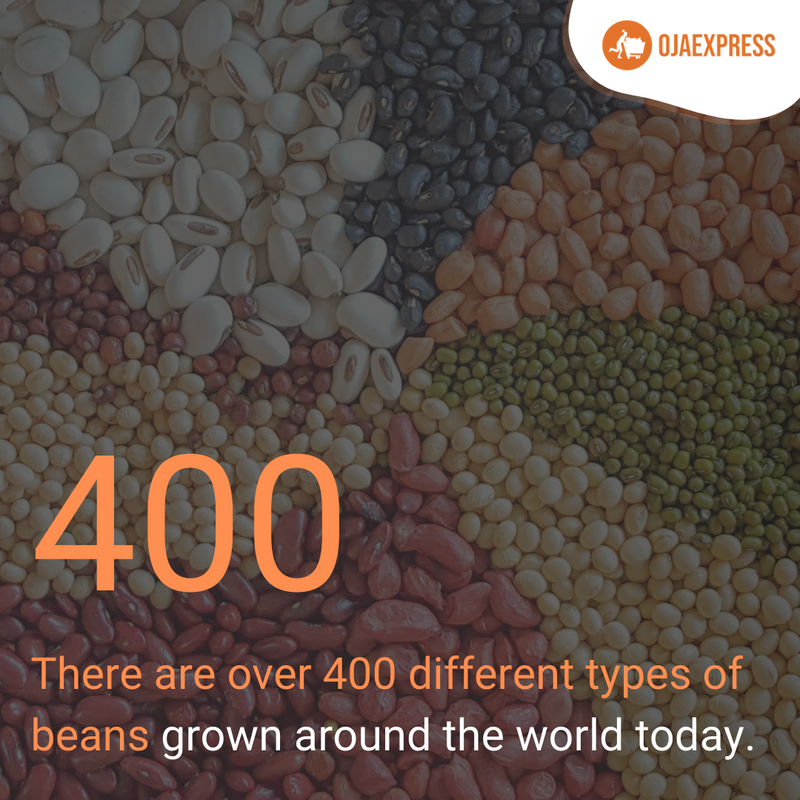 OjaExpress's tweet photo. πFrom chickpeas, kidney beans, soybeans to black beans, there are so many meals that can be prepared with this simple ingredient.
That being said: who's hungry for some Caribbean rice and beans? πββοΈ
#OjaExpress #CulturalFoods #Caribbean #Beans #FoodStatistics https://t.co/ak3b8CL3gB