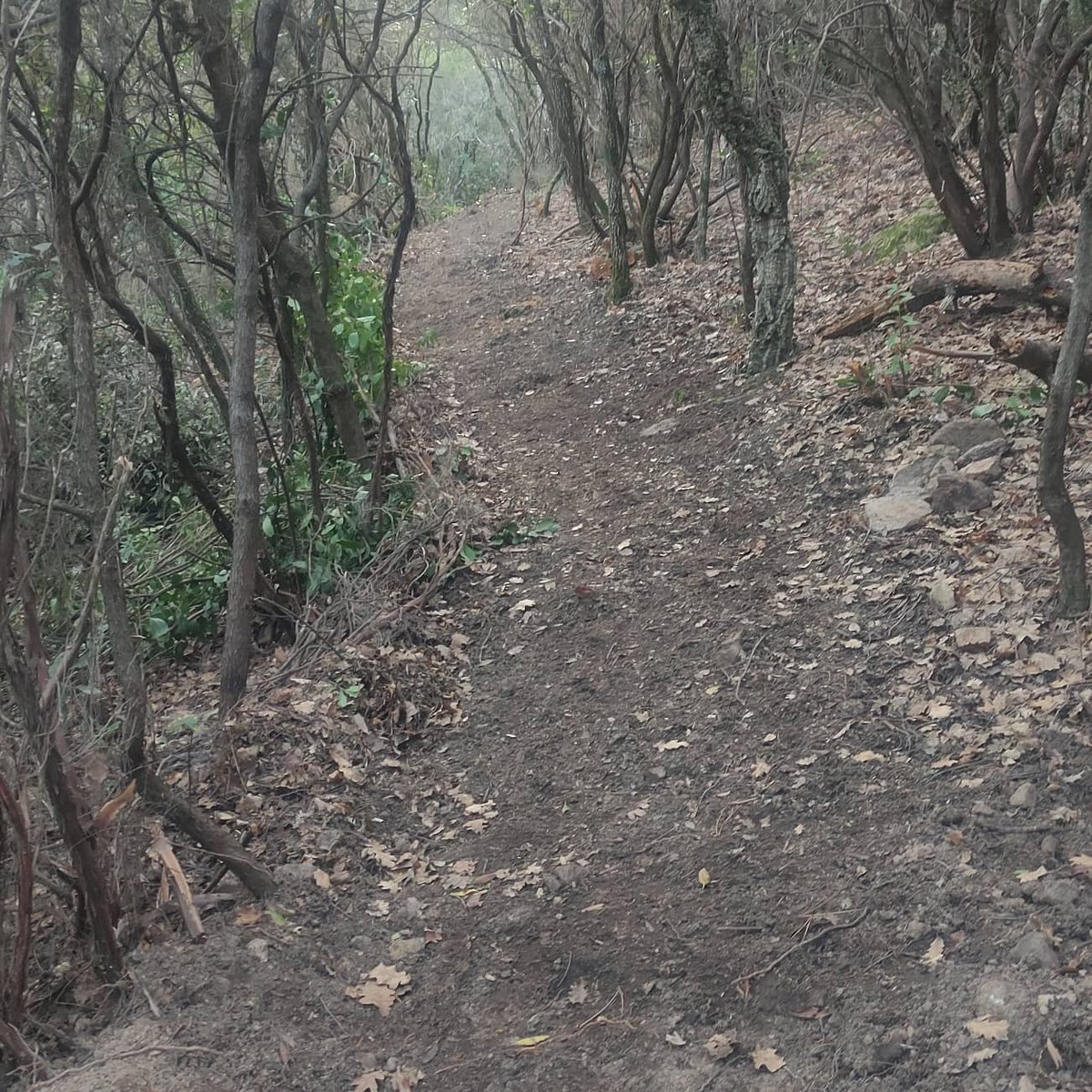 peticoucoupier's tweet photo. #vttenduro #vttrip #mtb #enduro #canyon #carbon #mountain #nature #rider #friend #paysdefayence #vttfrance #vtt #bikes #france #sud #shapenridebagnols

#pasderateaupasdevelo  #nodignoride #shape #shapenride #trailbuild #shapenridebagnols #vtt #mtb
#mbf #biketrails #trailbuider https://t.co/oLK9aONld6