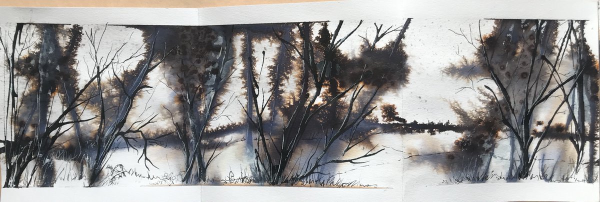 LynnNortonArt's tweet photo. Missing walking in the local nature reserve, so ended up doing a concertina sketchbook of memories of the place. Done in Quink ink & white acrylic ink. Did have a lovely slideshow of this, but Twitter & my phone not compatible! #lockdownsketching #fendraytonlakes #cambridgeshire https://t.co/OZTnCSVK7r