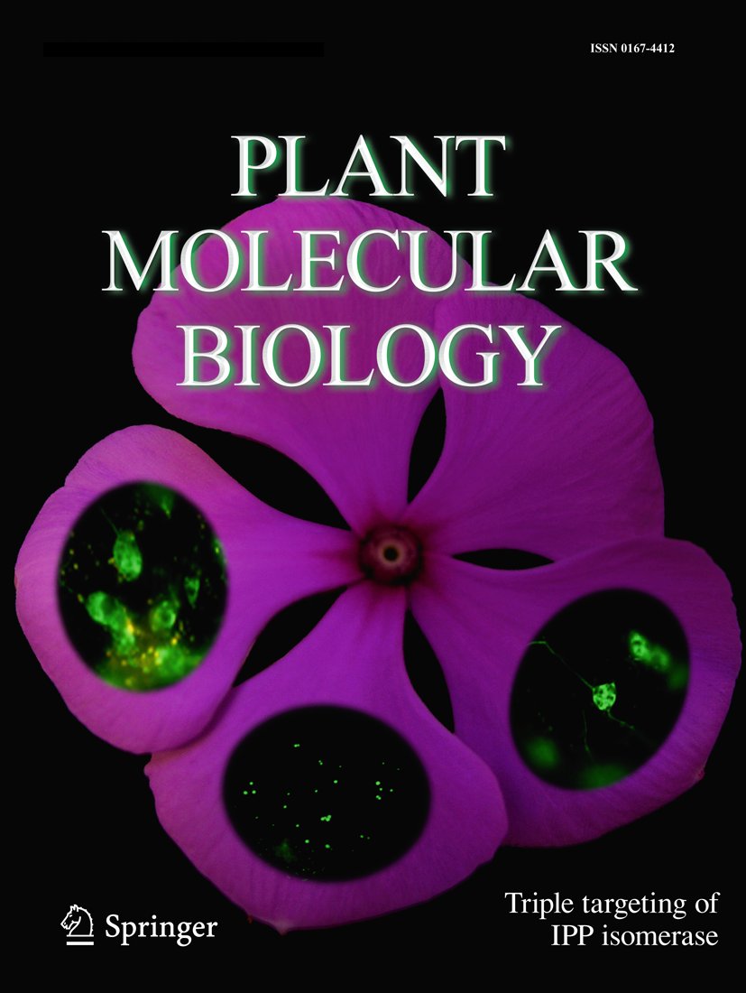 SpringerPlants's tweet photo. Yuanyuan Liu and colleagues identify three novel transcription factors involved in cannabinoid biosynthesis in Cannabis sativa L.

Read their work published in Plant Molecular Biology.

https://t.co/4xLQh4abfV https://t.co/SyYGGnFmb0