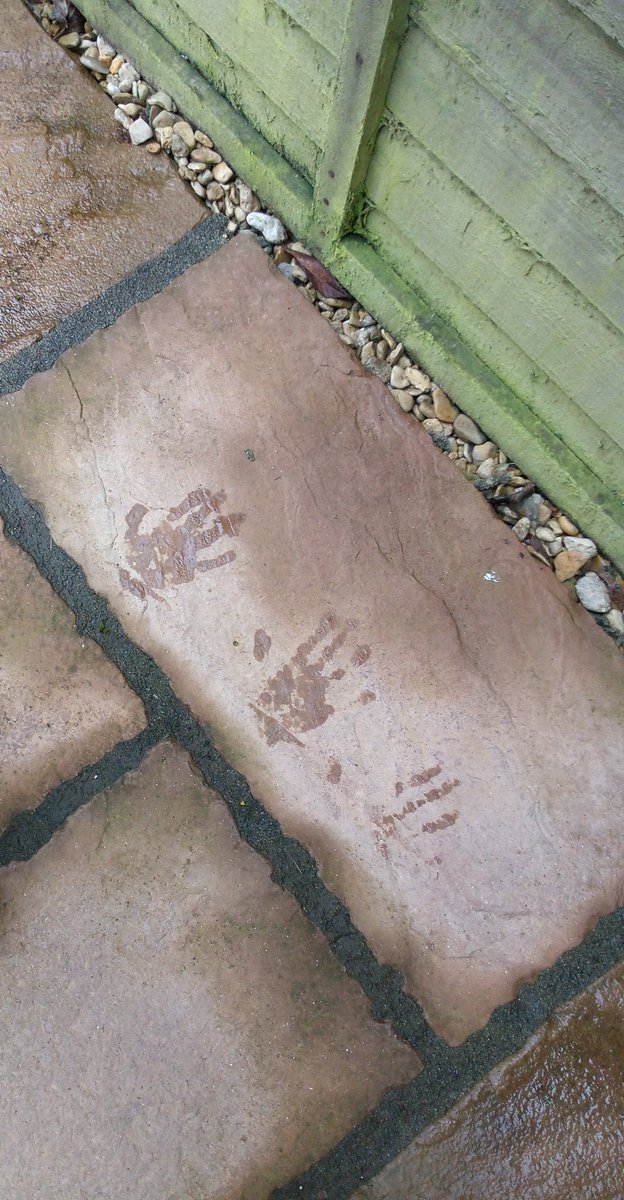 tracehodge17's tweet photo. Spring is here & what better way to spend a working morning than hand/foot printing in the garden using the puddles from the overnight rain!! Beats working in an office that's for sure! #fun #NAFlagvisor_nomads #ukrunchat #RunnerTrace #NotAtArmsLength #notjustababysitter β€οΈβοΈπ¦Άπ https://t.co/ju5vmoALPK