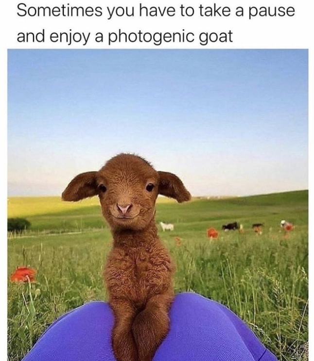 RealHoustonMoms's tweet photo. His little face π
Via @Upworthy #momlife #lifewithkids #parenthood #parenting #motherhood #houstonblogger #momsofinstagram #houstonmomsblog #houstonmoms #houston_insta #mommemes https://t.co/1osSsK3kfX