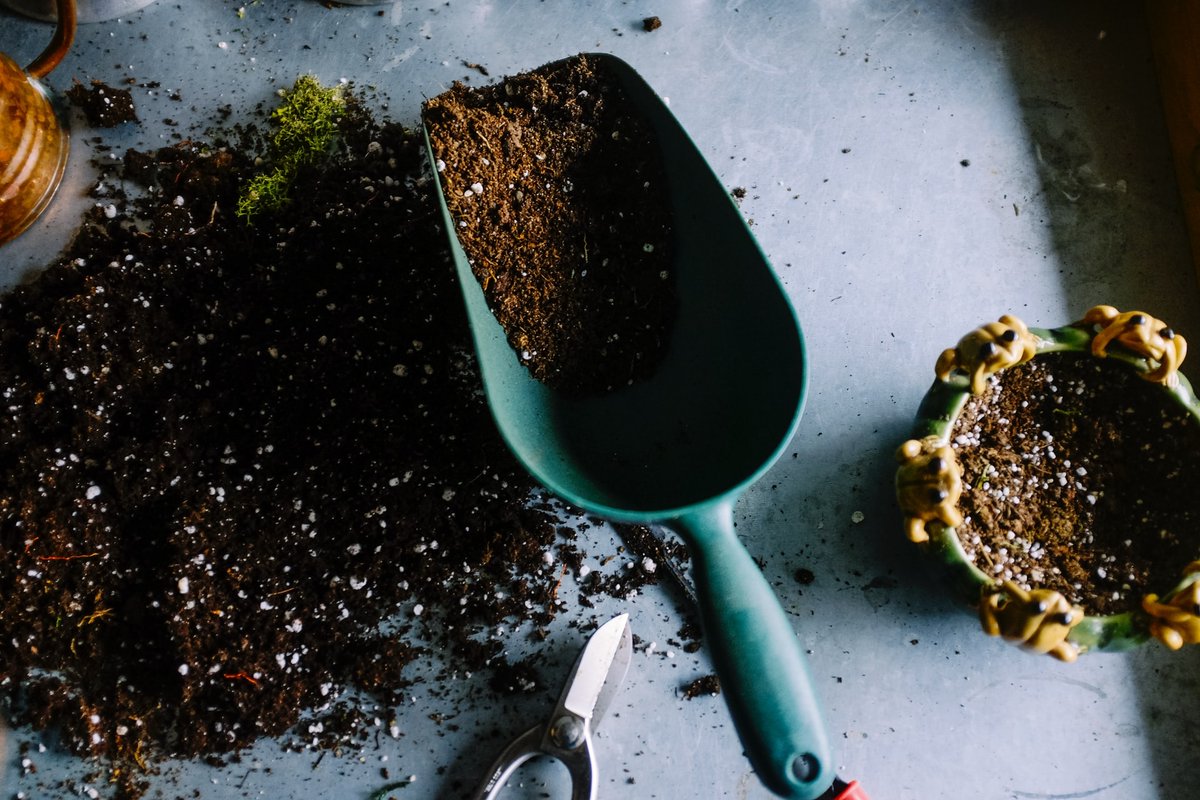 westcoastseeds's tweet photo. Container Soil vs. Garden Soil π±π
Choosing the best soil type for your indoor garden.
Click here to learn more!
https://t.co/cjsCoIxNVd
#westcoastseeds #soilbasics https://t.co/yBaQJoJfnB