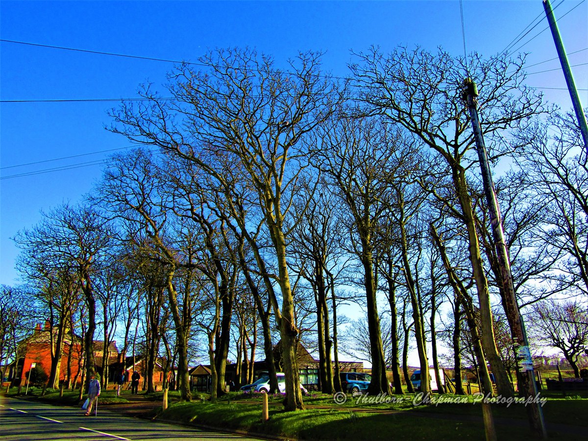 WalksWithMyCamera tweet media