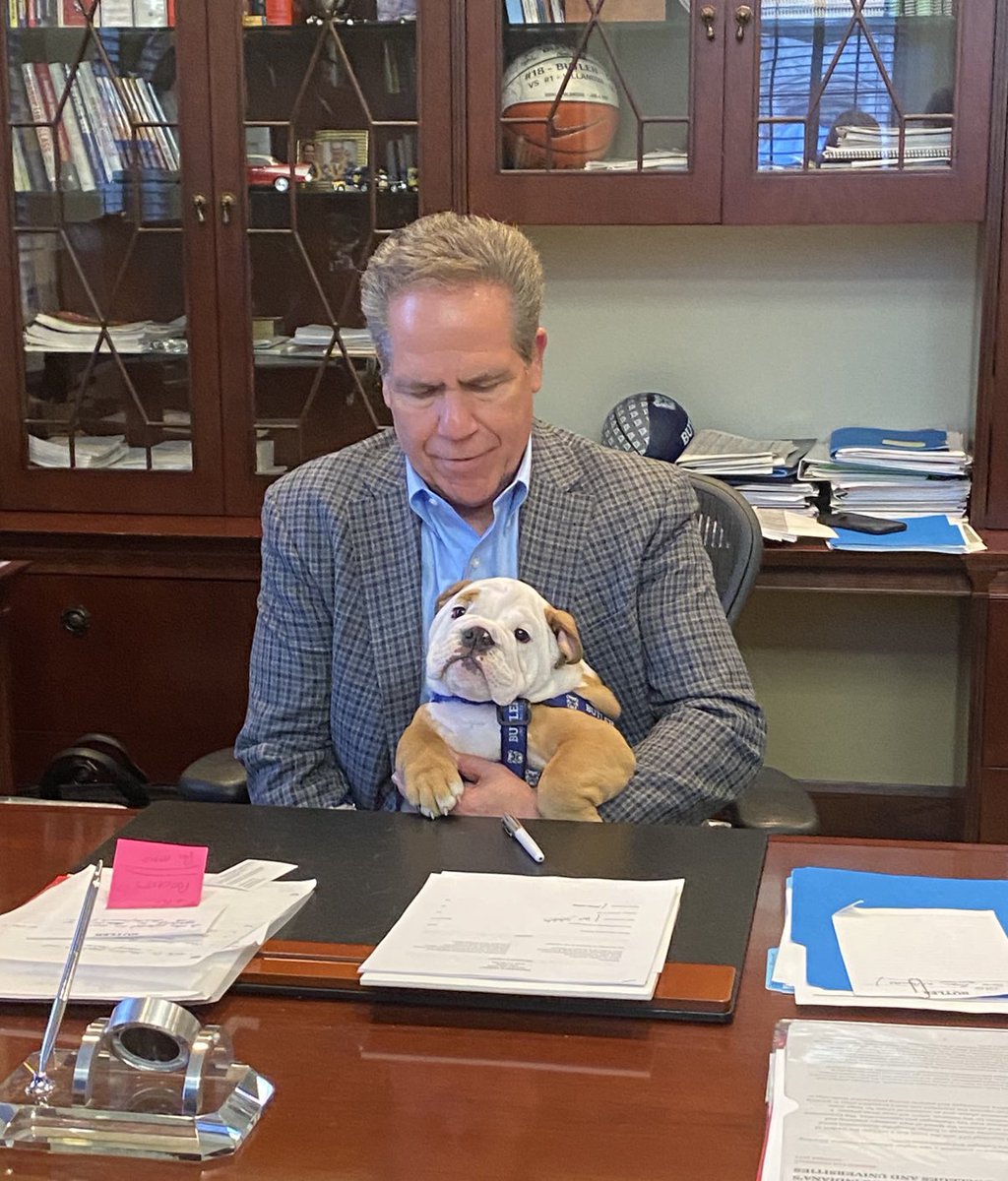 Bethanie Danko tweet media