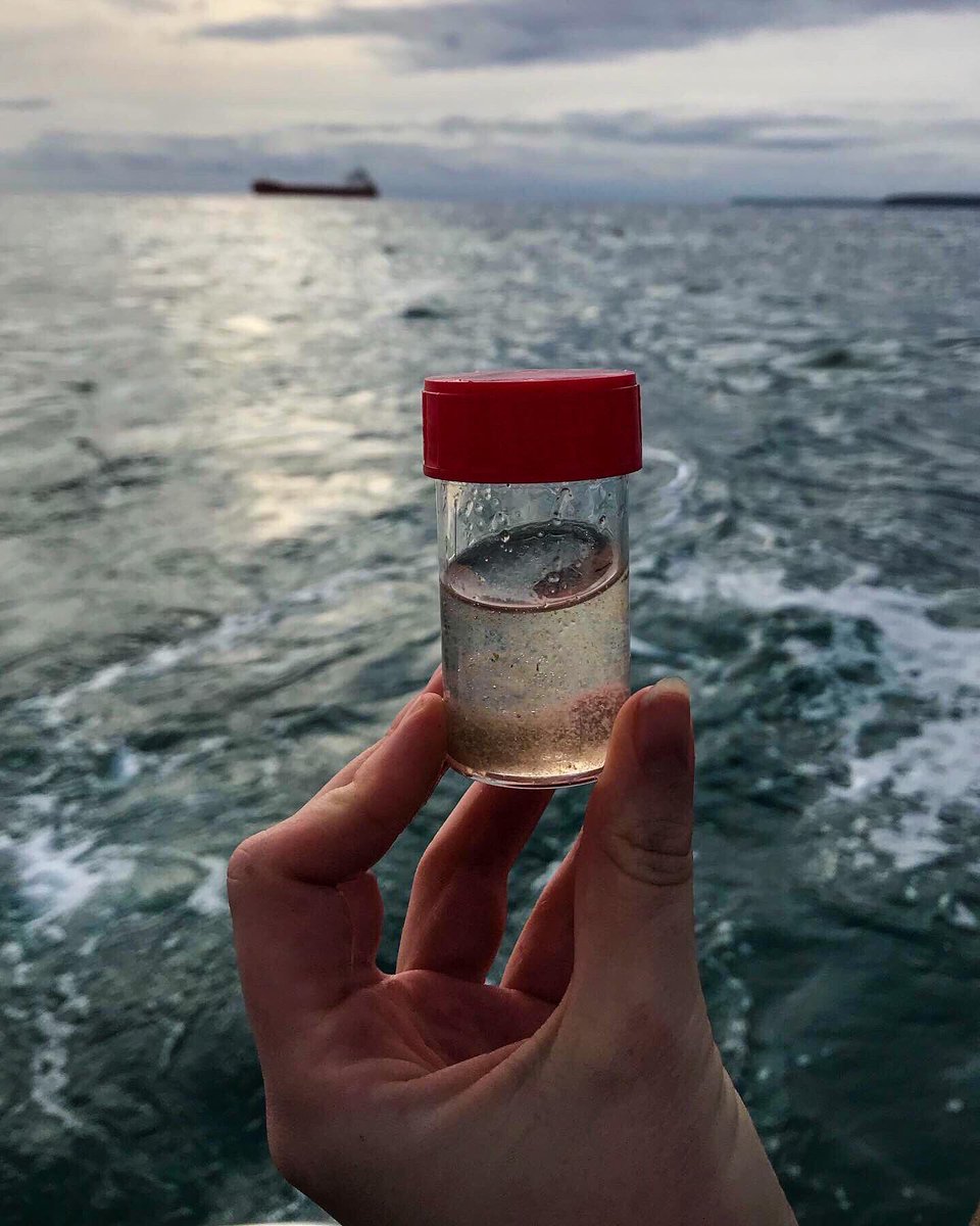 oceanisabelle's tweet photo. In November 2019 I went on a micro plastics trawl with @beachcleanproj @PlasticWaive where we collected samples from 9 different locations across south coast Cornwall and found evidence of micro plastics in every single one.
#microplastics #marineconservation #2minutebeachclean https://t.co/023V812sQv
