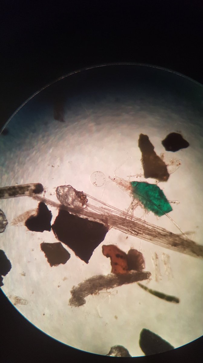 oceanisabelle's tweet photo. In November 2019 I went on a micro plastics trawl with @beachcleanproj @PlasticWaive where we collected samples from 9 different locations across south coast Cornwall and found evidence of micro plastics in every single one.
#microplastics #marineconservation #2minutebeachclean https://t.co/023V812sQv