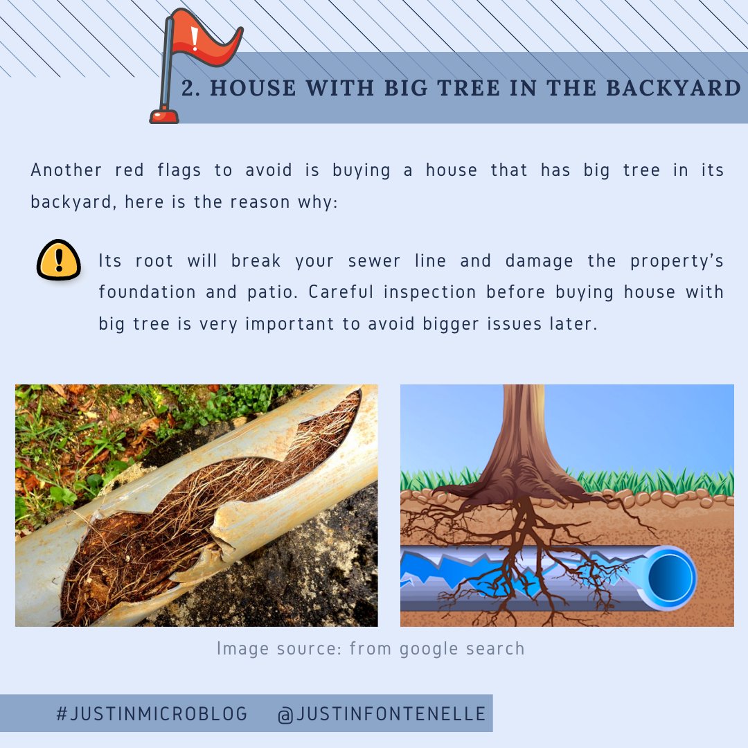 JustinFontenel2's tweet photo. ๐ฉowning a house with trees in the backyard can add higher value to your property #realestatefacts. However, it has the down side too. Check outโฌ๏ธwhy house with big trees in the backyard is a no no to buy for #firsttimehouseflipper
#houseflipping #fixandflips #fliphouse https://t.co/pycHeURxJ9